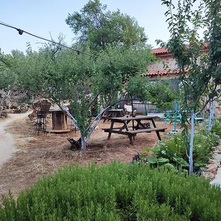 3 Guest house